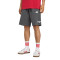 adidas Liverpool FC 2025-2026 Fanswear Shorts
