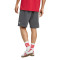 adidas Liverpool FC 2025-2026 Fanswear Shorts