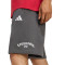 adidas Liverpool FC 2025-2026 Fanswear Shorts