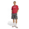 adidas Liverpool FC 2025-2026 Fanswear T-Shirt