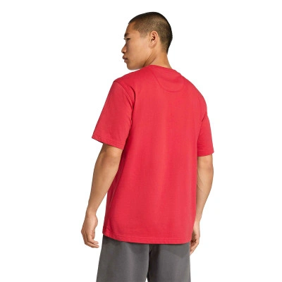 Liverpool FC 2025-2026 Fanswear T-Shirt