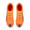 Puma Ultra 6 Pro FG/AG Voetbalschoenen