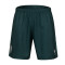 Soka Sociedad Deportiva Huesca 2025-2026 Derde Shorts