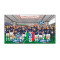 Fc Inter Milan 20e Scudetto Houten Puzzel (150 Stuks)