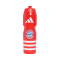 adidas FC Bayern 2025-2026 Fles