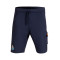 New Balance Fc Porto Fanswear 2025-2026 Shorts
