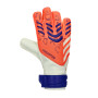 Roofdiertraining-Signaalkoraal-Wit-Lucid blauw