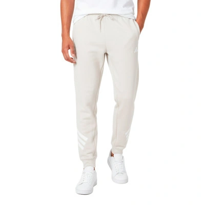 Real Zaragoza Sportswear 2025-2026 Lange broek