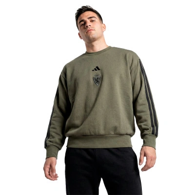 Real Zaragoza Sportswear 2025-2026 Sweatshirt