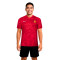 Nike RCD Mallorca 2025-2026 Pre-Match T-Shirt