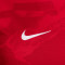 Nike Kinderen RCD Mallorca 2025-2026 Pre-Match T-Shirt