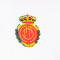 Nike Kinderen RCD Mallorca 2025-2026 Speler Sweatshirt