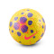 Nike Control 2025-2026 Bal