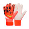 Nike Kinderen Match Handschoen