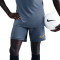 Nike Academy Shorts