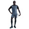 Nike Academy Shorts
