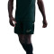 Nike Academie 25 Dri-FIT Br Shorts