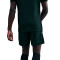 Nike Academie 25 Dri-FIT Br Shorts