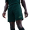 Nike Academie 25 Dri-FIT Br Shorts