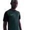 Nike Academie 25 Dri-FIT T-Shirt