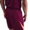 Nike Dri-Fit Strike Shorts