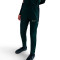 Nike Academy 25 Lange broek