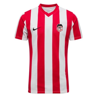 Striped Division V m/c C.D.Acero Shirt