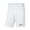 Nike Park III Knit C.D.Acero Shorts