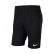 Nike Park 20 Niño C.D.Acero Bermudashorts
