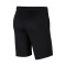 Nike Park 20 Niño C.D.Acero Bermudashorts