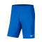 Nike Park III Knit C.D.Acero Shorts