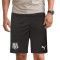 Puma Ud Sassuolo 2025-2026 Home Shorts