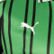 Puma Ud Sassuolo 2025-2026 Home Shirt