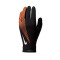Nike Academy Therma-FIT Handschoenen