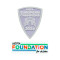 Patch Kampioen Euro + UEFA Foundation 