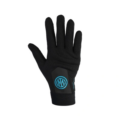 Inter Milan 2025-2026 Thermohandschoenen