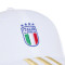 adidas Italië Wereldkampioenschap 2026 Pet