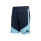 adidas Argentinië Afa Training Wereldbeker 2026 Shorts