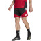 adidas Germany Dfb Training Mundial 2026 Shorts