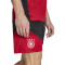 adidas Germany Dfb Training Mundial 2026 Shorts