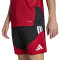 adidas Germany Dfb Training Mundial 2026 Shorts