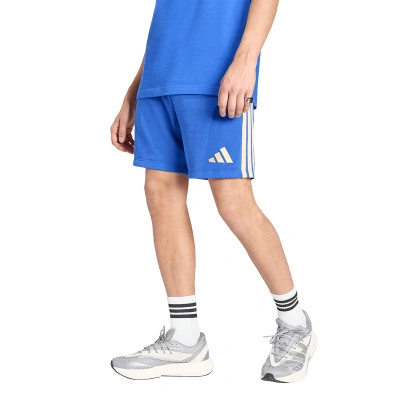 Italië Fanswear Dna Wereldbeker 2026 Shorts