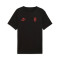 Puma AC Milan Fanswear 2025-2026 T-Shirt