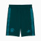Puma Manchester City Fanswear 2025-2026 Shorts