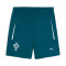 Puma Portugal Fanswear Wereldbeker 2026 Kind Shorts