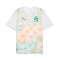 Puma Ivoorkust Uittenue Wereldbeker 2026 Shirt
