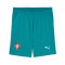 Puma Portugal Uittenue Wereldbeker 2026 Kind Shorts