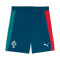 Puma Portugal Training Wereldbeker 2026 Shorts