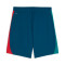 Puma Portugal Training Wereldbeker 2026 Shorts