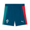Puma Portugal Training Wereldbeker 2026 Kind Shorts